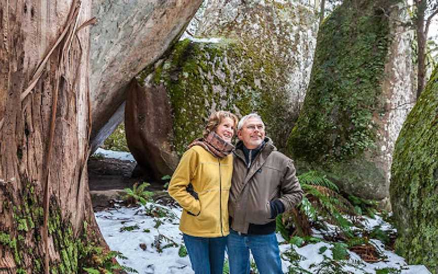 Mushroom Rocks, Erica, VIC