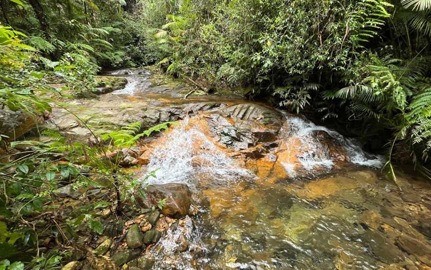 Tully Falls National Park, Ravenshoe, QLD