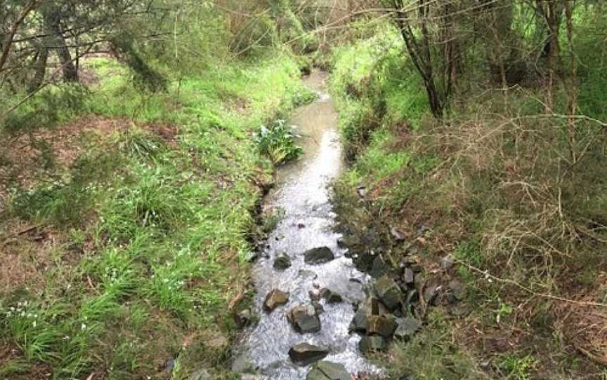 Wurundjeri Walk, Blackburn South, VIC