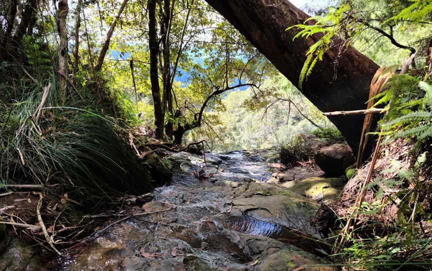 Wunburra Lookout, Springbrook, QLD