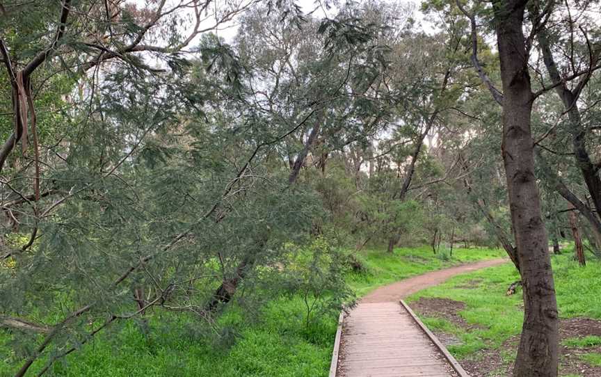 Cootamundra Walk, Blackburn, VIC