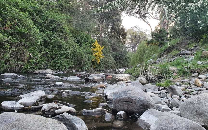 Hobart Rivulet Park, South Hobart, TAS