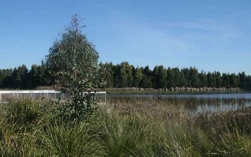 Koolamara Water Reserve, Ferntree Gully, VIC