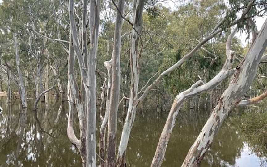 Mcleans Beach, Deniliquin, NSW