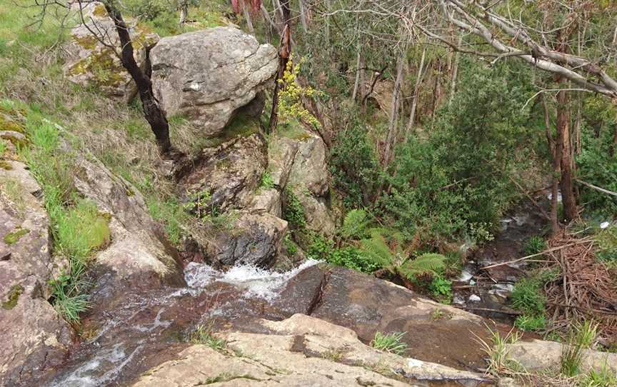 Stanley Park, Mount Macedon, VIC