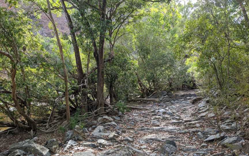 Wujal Wujal Falls, Bloomfield, QLD