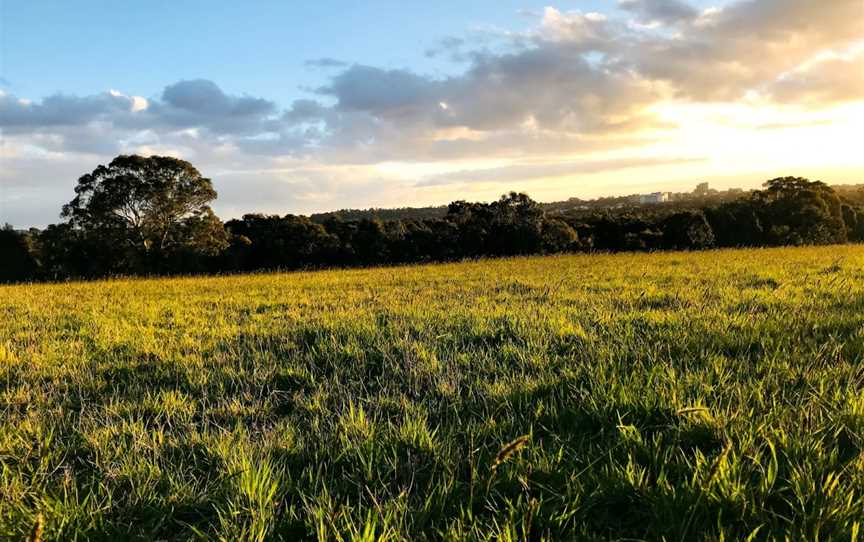 Banyule Flats Reserve, Viewbank, VIC