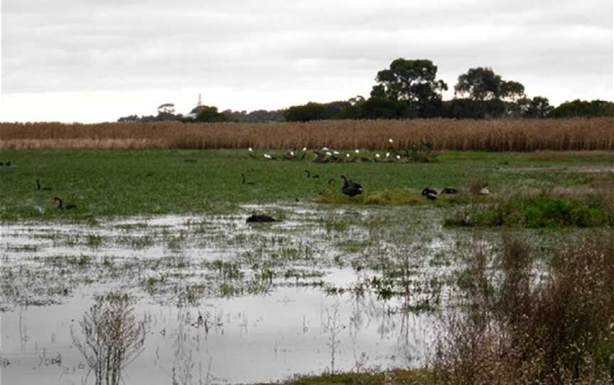 Colac Bird Reserve, Colac, VIC