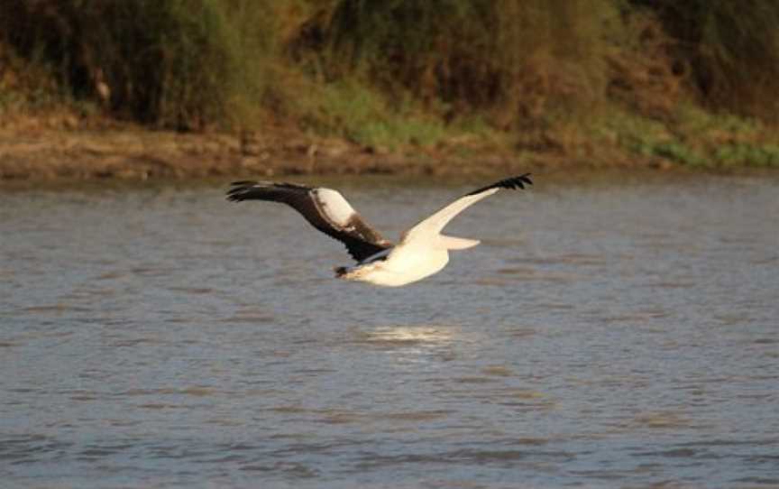 Cullymurra Waterhole, Innamincka, SA