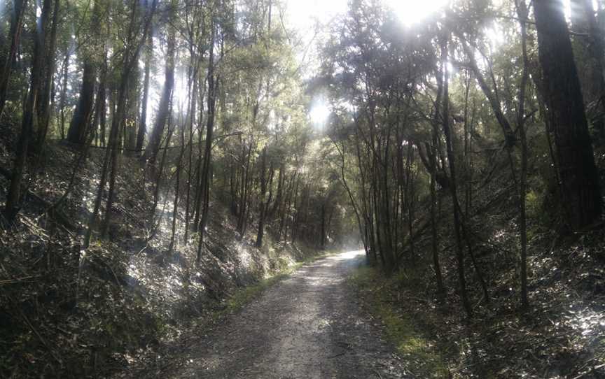 Crossover Regional Park, Crossover, VIC