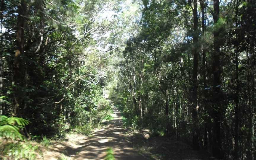 Danbulla National Park, Tinaroo, QLD