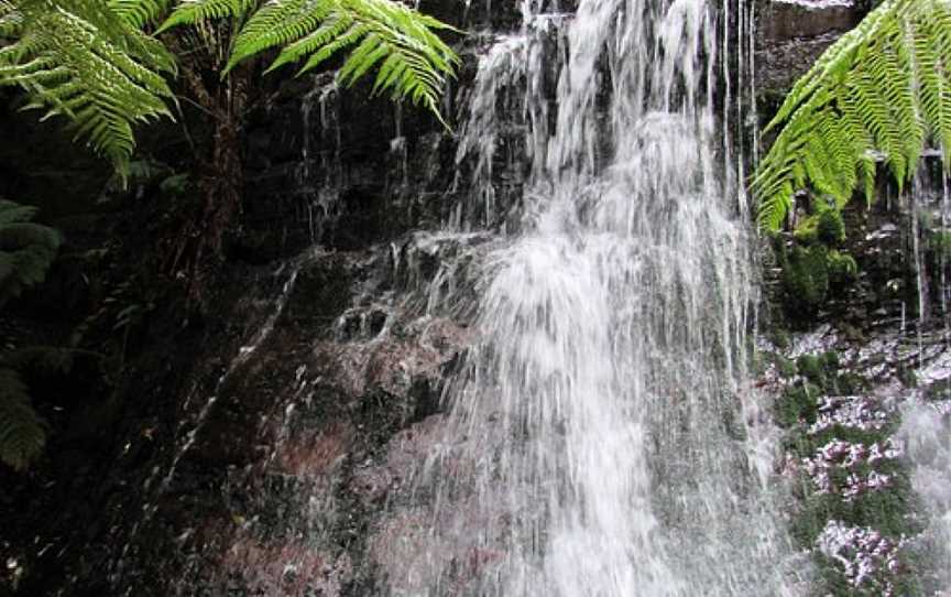 Fern Tree to Silver Falls Loop, Fern Tree, TAS