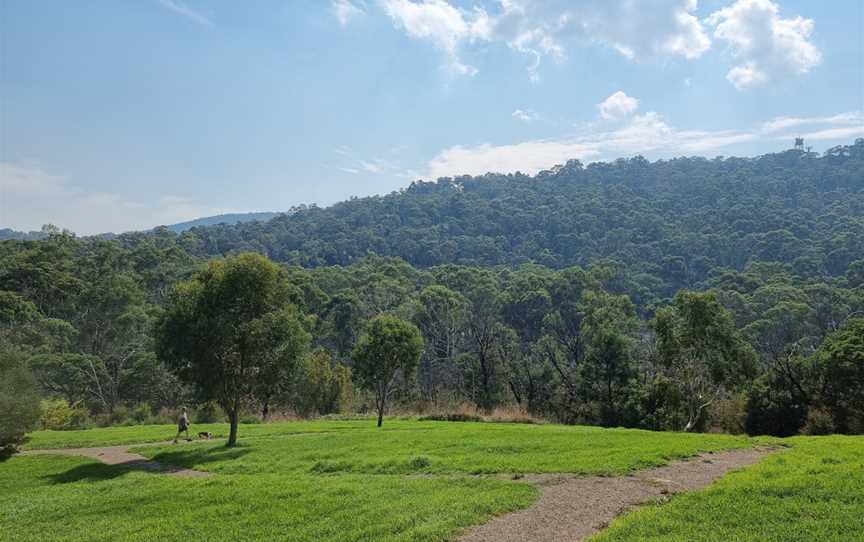 Glenfern Valley Bushlands, Upwey, VIC