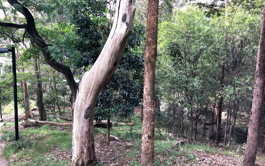 Harbourview Park, Woollahra, NSW