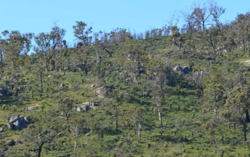 Greenmount National Park, Greenmount, WA