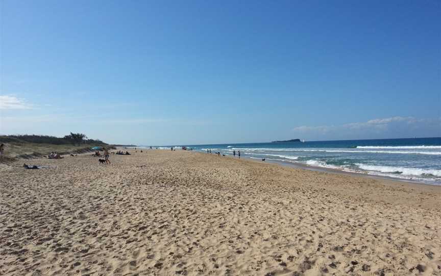 Maroochy River Conservation Park, Twin Waters, QLD