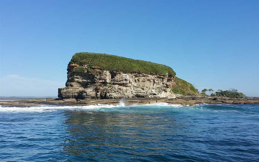 Maroochy River Conservation Park, Twin Waters, QLD