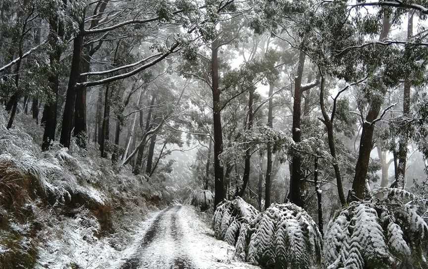 Mount Riddell, Healesville, VIC