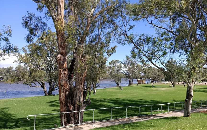 Riverfront Reserve, Morgan, SA