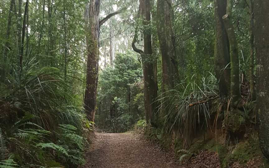 Uralla Nature Reserve, Trafalgar, VIC