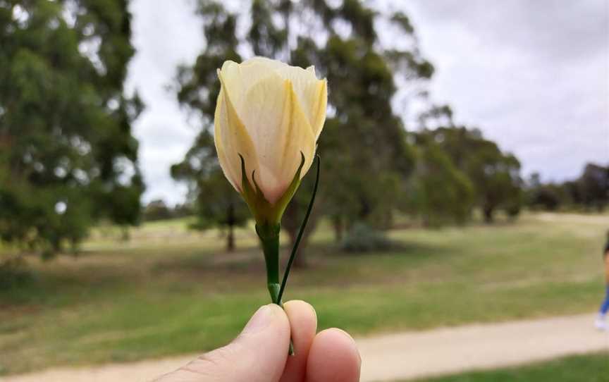 Whittlesea Public Gardens, Lalor, VIC