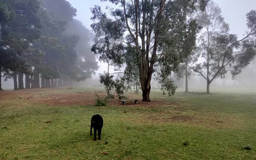 East Burwood Reserve, Burwood East, VIC