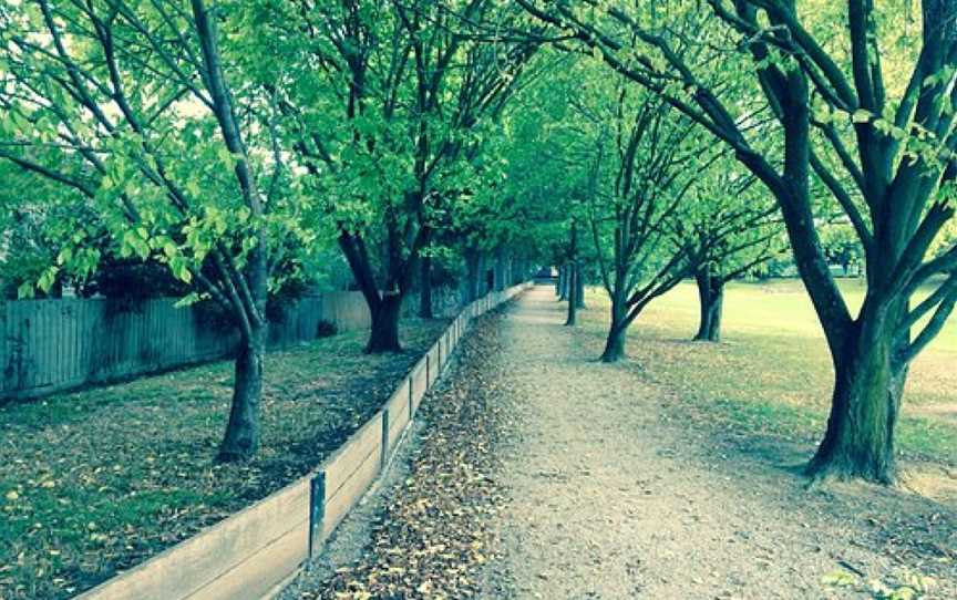 Elmhurst Basin, Blackburn, VIC