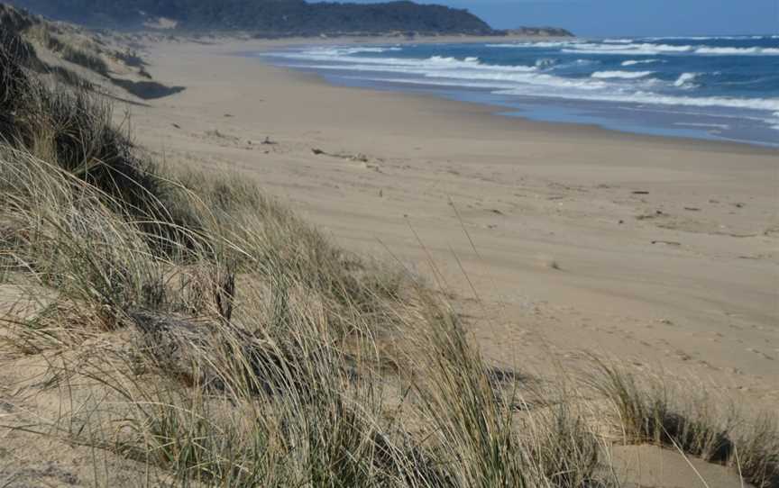 Frenches Narrows, Marlo, VIC