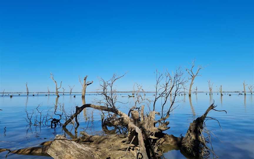 Kow Swamp, Gunbower, VIC