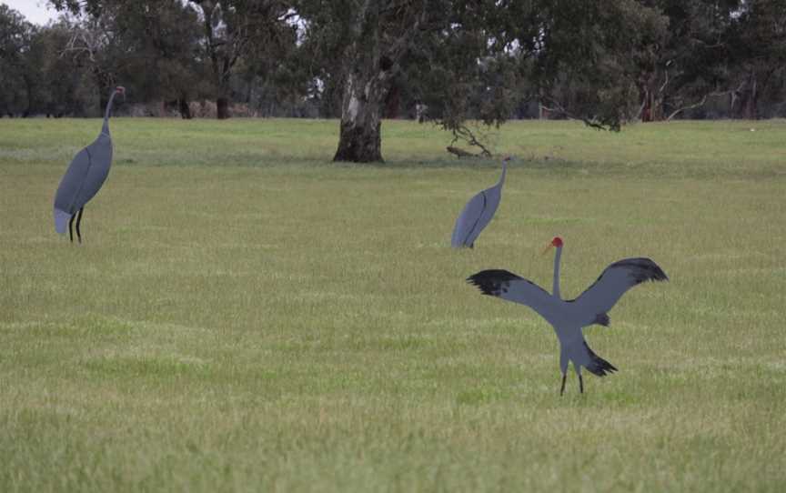 Lake Bringalbert, Apsley, VIC