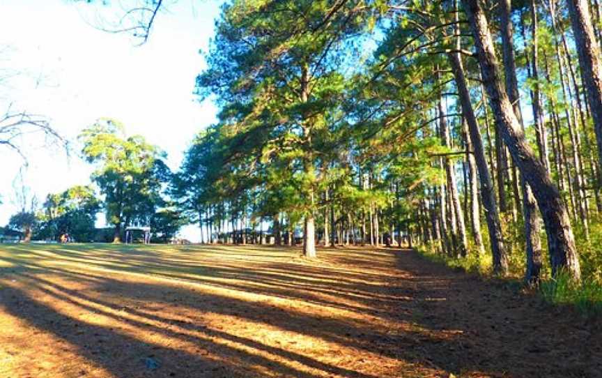 Lasiandra Park Wauchope, Wauchope, NSW