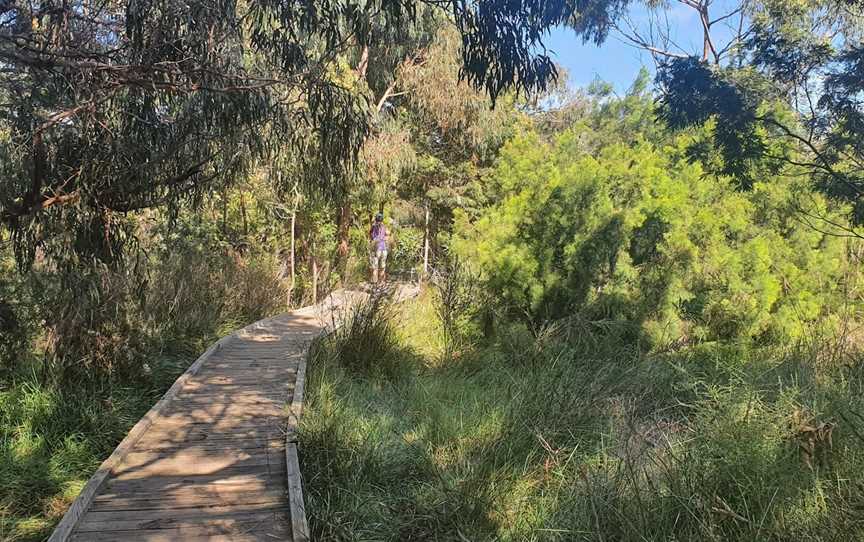 Long Hollow Heathland, Beaumaris, VIC