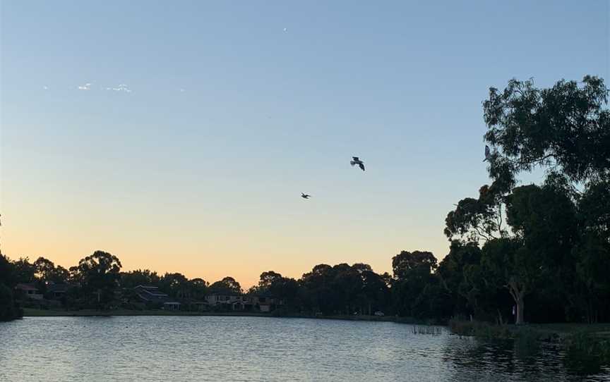 Sutton Lake, Rowville, VIC