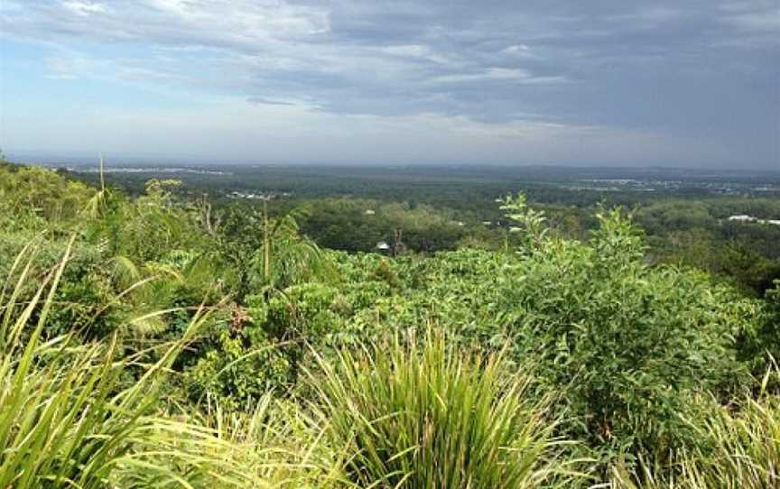 Tree of Life, Buderim, QLD