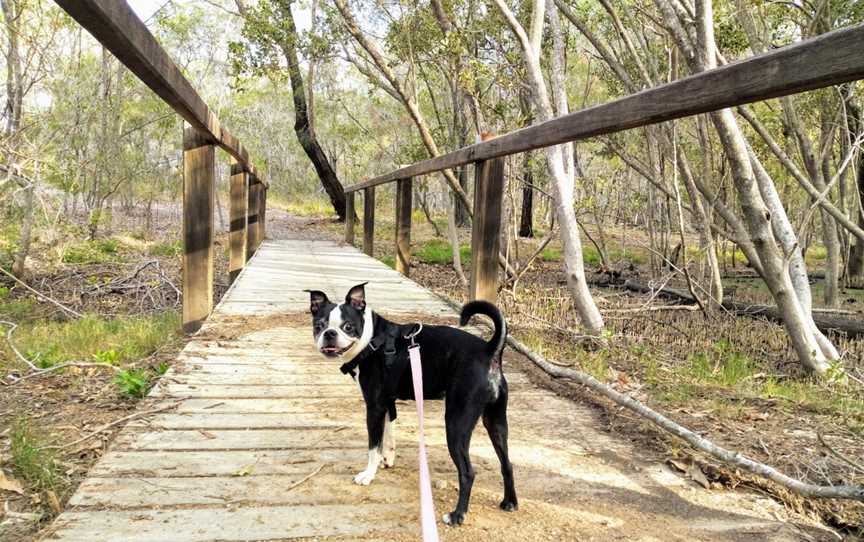 Tingalpa Creek Reserve, Ransome, QLD