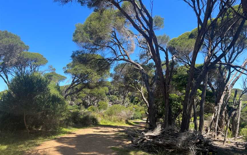 Wallagoot Gap, Tathra, NSW