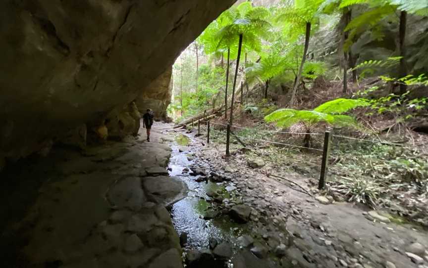 Wards Canyon, Carnarvon National Park, QLD