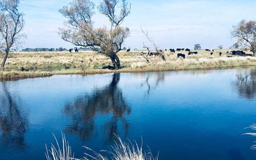 Evandale Rotary Park, Evandale, TAS