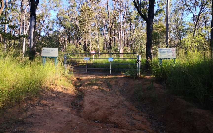 Gatton National Park, Gatton, QLD