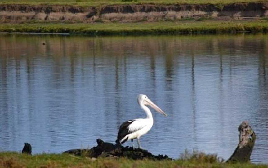 Grahams wetland reserve, Werribee, VIC