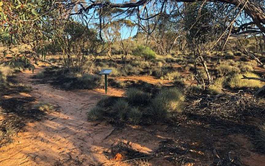 Hattah Nature Walk, Ouyen, VIC