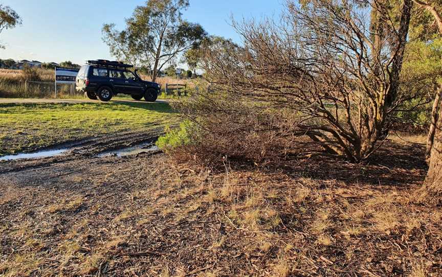 Heathdale Glen Orden Wetlands, Werribee, VIC