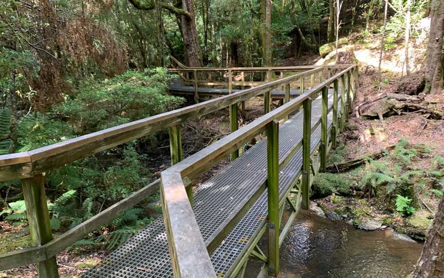 Julius River Rainforest Walk, Trowutta, TAS