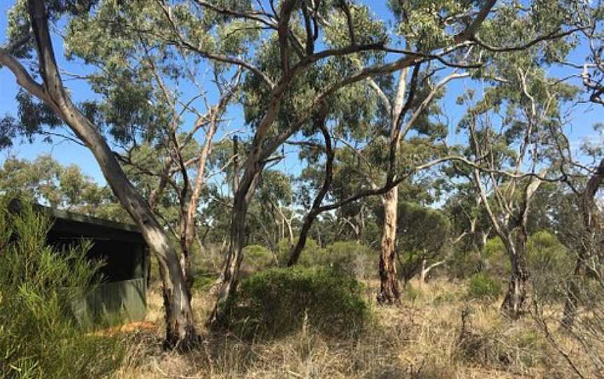 Keith Hateley Nature Walk, Dimboola, VIC