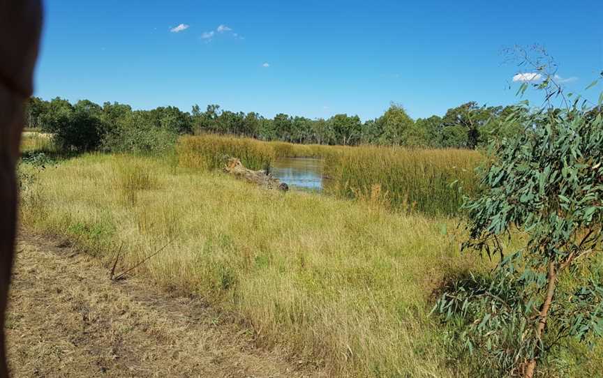 Kinnairds Wetland, Numurkah, VIC