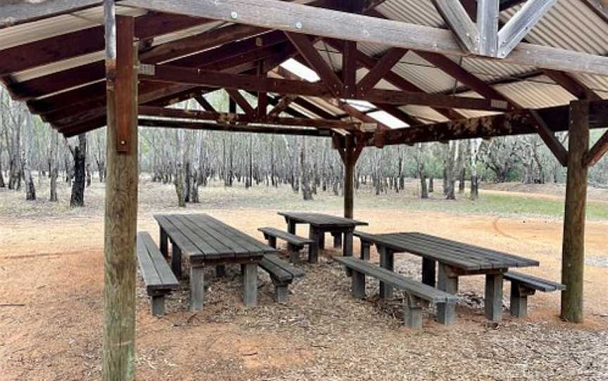 Kinnairds Wetland, Numurkah, VIC