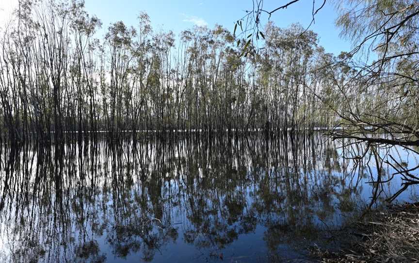 Lake Hattah, Ouyen, VIC