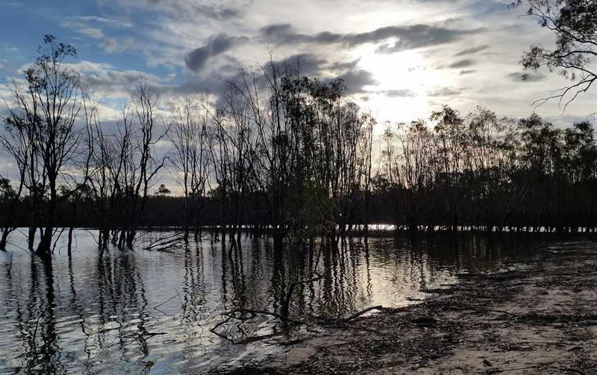 Lake Hattah, Ouyen, VIC