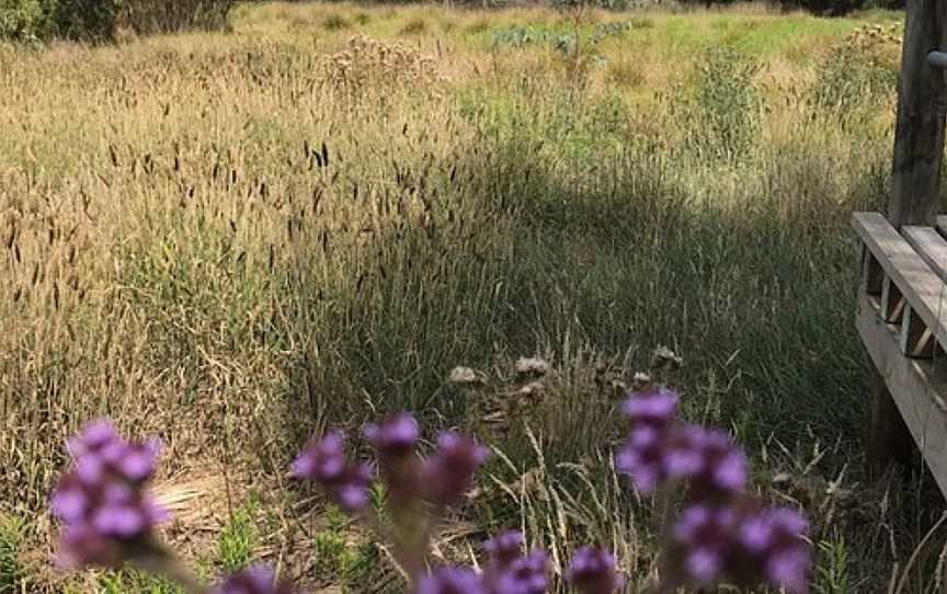 Macalister Wetland Reserve, Maffra, VIC