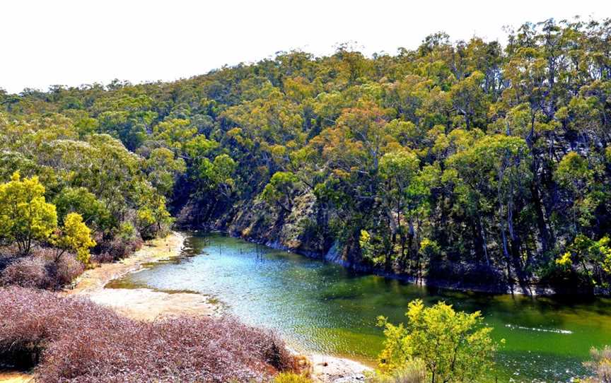 Marrangaroo National Park, Wallerawang, NSW